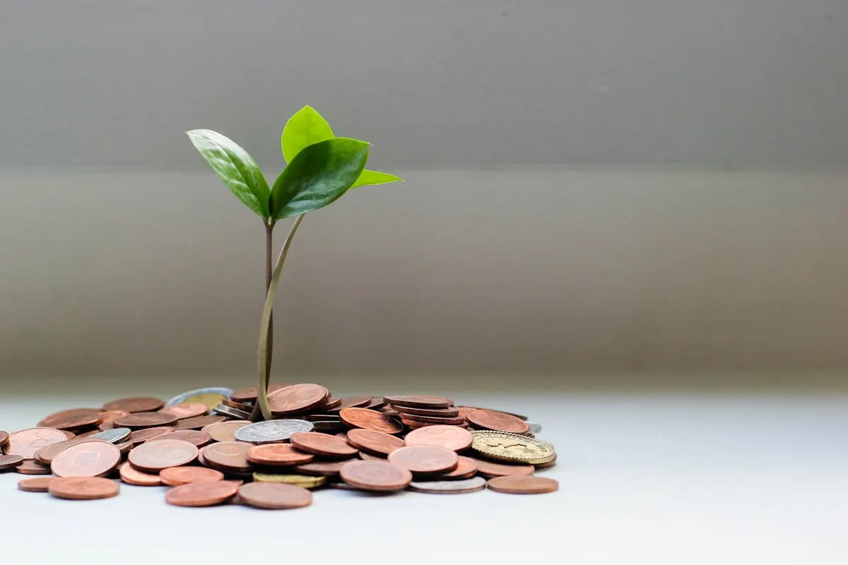Cash Flow Forecasting: The Owner Manager Guide